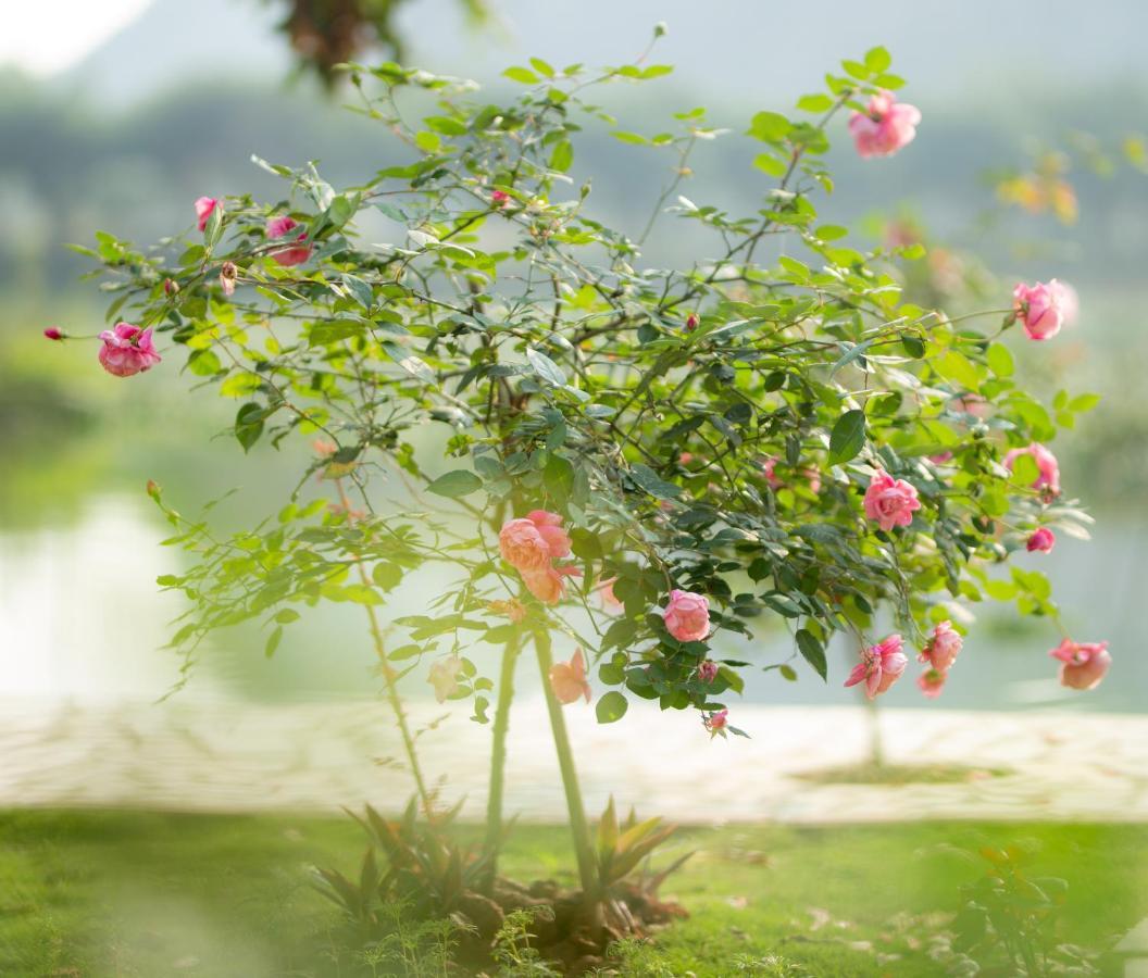 Serena riverside homestay - Tràng An Ninh Binh Esterno foto